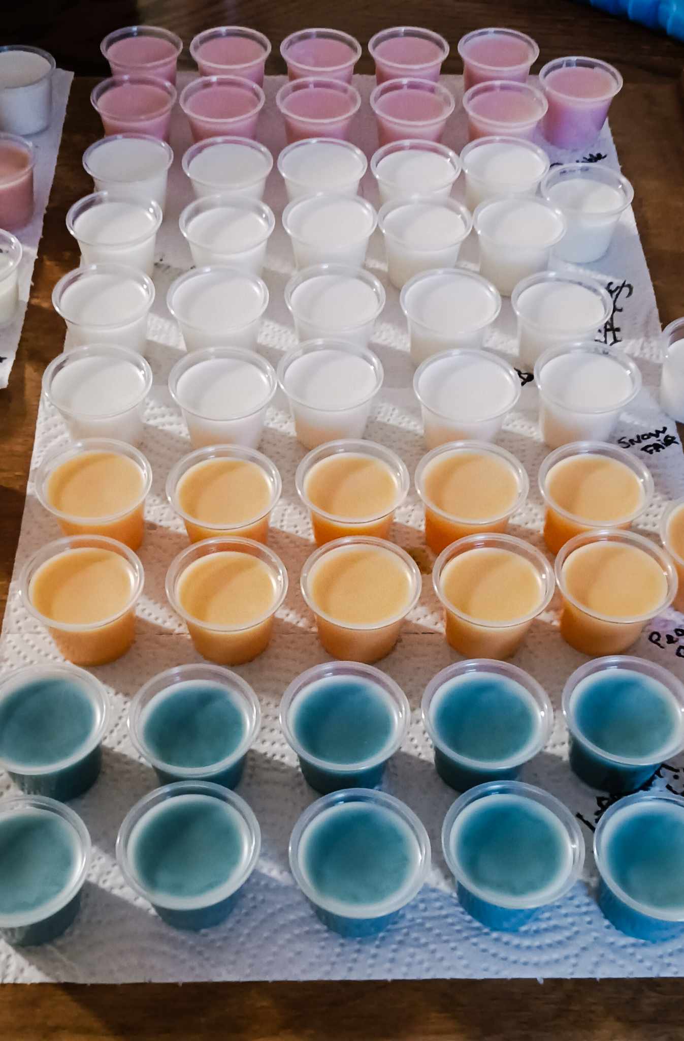 1 oz Wax Melt Shots ~ Throw in your warmer and enjoy for days!! Heavily scented! Buy 5 Get 1 FREE ~ No code needed