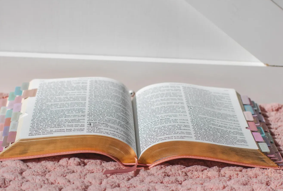 π Pink Faux Leather Giant Print King James Version Bible (with Rose Gold Laminated Tabs)