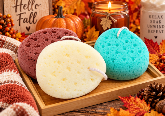 Autumn/ Fall Scented Goat Milk Soap Infused Sponges