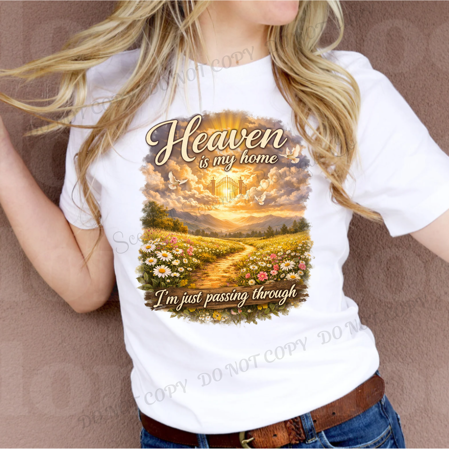 Heaven Is My Home, I'm Just Passing Through T~SHIRT, SWEATSHIRT, HOODIE LISTING