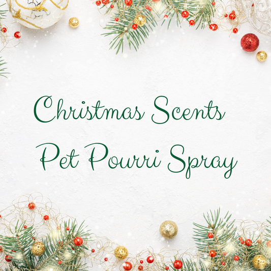 CHRISTMAS SCENTS ~ Pet~Pourri Pet Odor Eliminator ~ All Natural ~ Odor Neutralizer